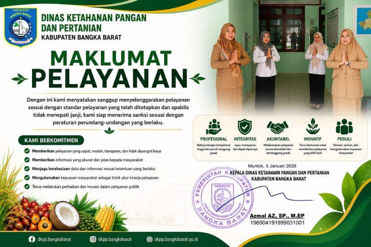 Info Grafis