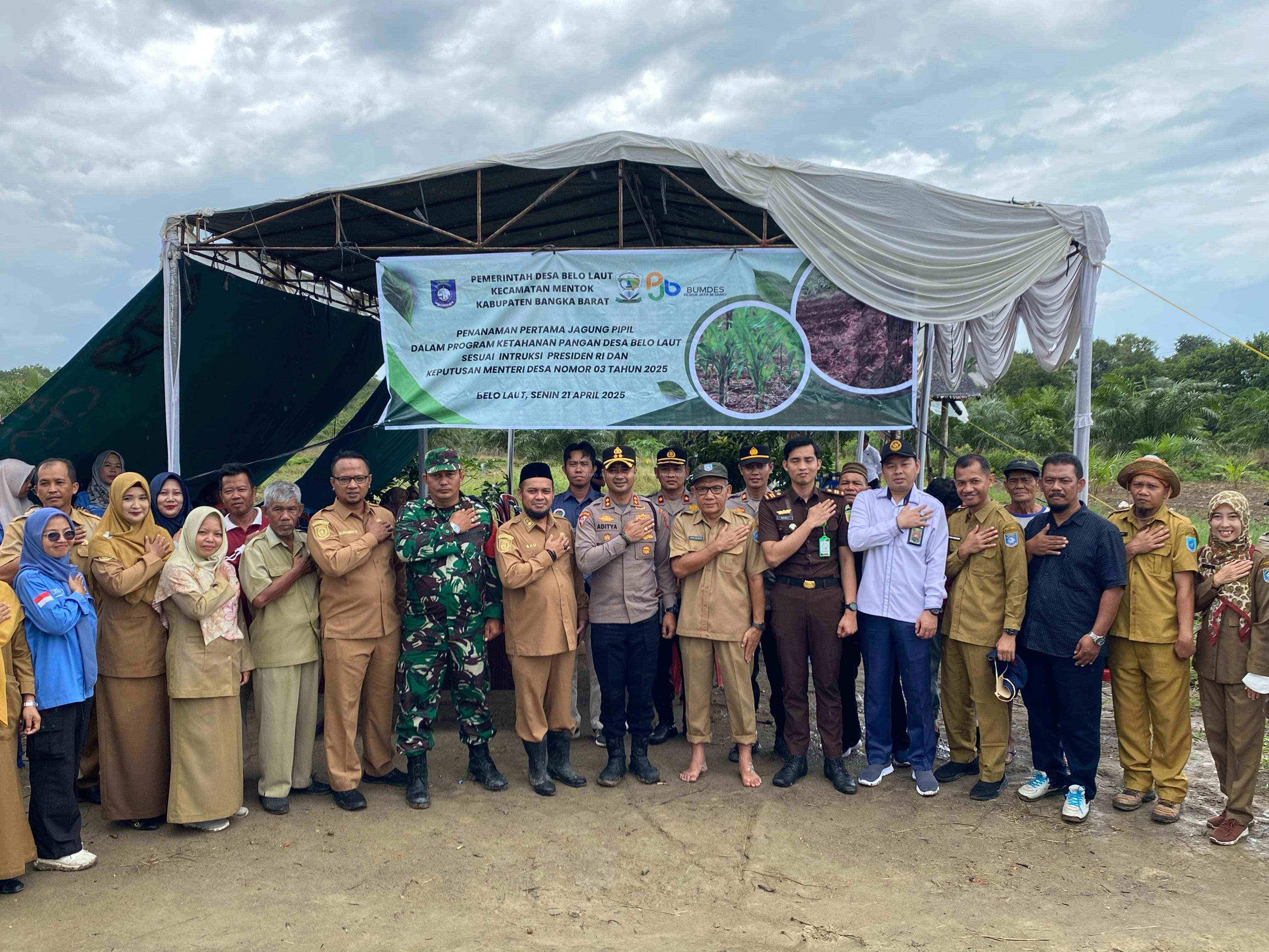 Penanaman Jagung Pipil di Desa Belo Laut Kab. Bangka Barat dalam Rangka Mendukung Ketahanan Pangan Nasional