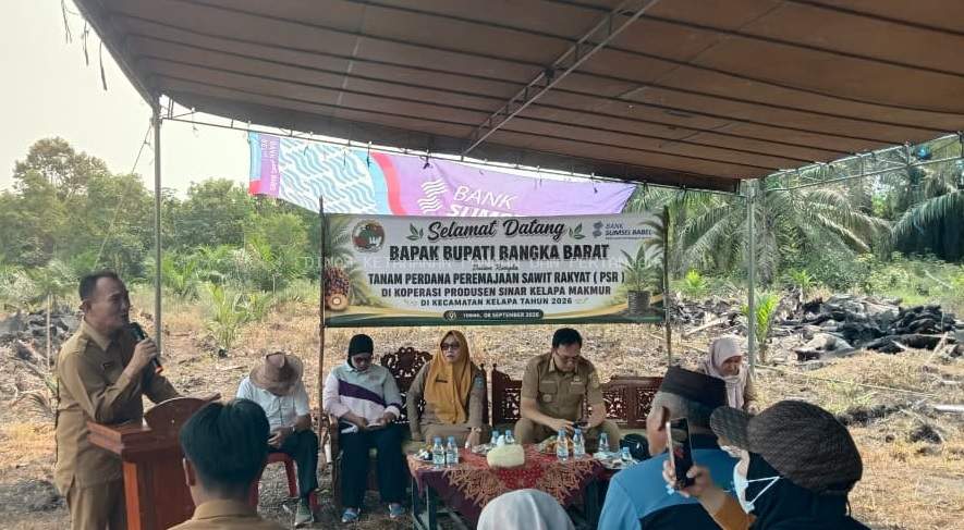 Bupati Bangka Barat Hadiri Tanam Perdana PSR Koperasi Sinar Kelapa Makmur, Dorong Peningkatan Kesejahteraan Petani