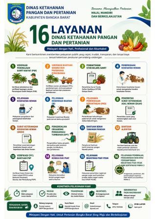 Info Grafis